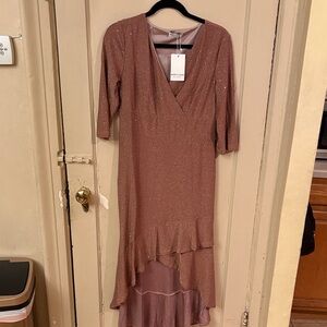 Express Sparkling Rose High Low Dress